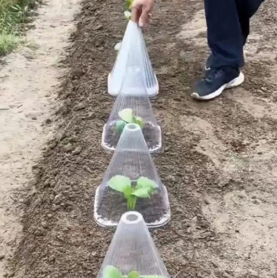 DTOPBUYAGE - 50 pièces de cloches pour plantes de jardin dtopbuyage