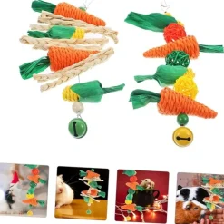 DTOPBUYAGE - 2 pièces mâcher hamster carotte