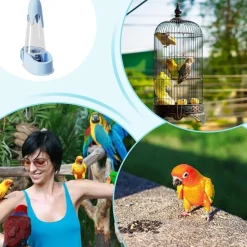 DTOPBUYAGE - Abreuvoir automatique oiseaux antitaches