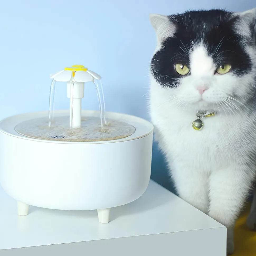 DTOPBUYAGE - Abreuvoir silencieux pour chiens et chats