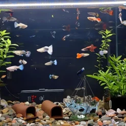 DTOPBUYAGE - Accessoires navire pour aquarium