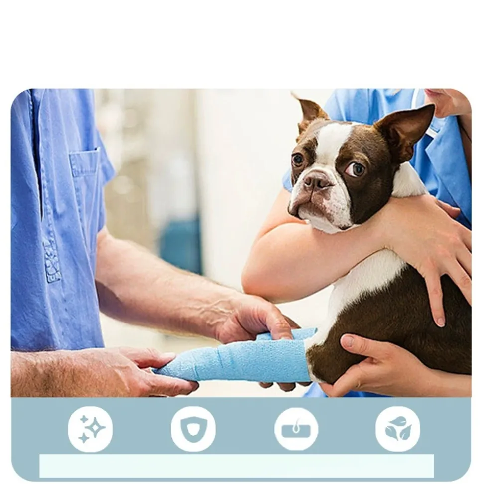 DTOPBUYAGE - Adhésif pour pattes de chien dtopbuyage pour tous les chiens