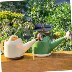 DTOPBUYAGE - Arrosoir à longue bouche pour plantes intérieur et extérieur