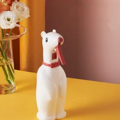 DTOPBUYAGE - Arrosoir à main carton pour enfants et plantes dtopbuyage