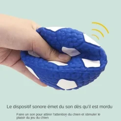 DTOPBUYAGE - Balles grincantes indestructibles pour chien mâcheur