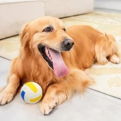 DTOPBUYAGE - Balles grincantes indestructibles pour chien mâcheur