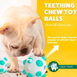 DTOPBUYAGE - Balls pour chiens - interactif, nettoyage des dents