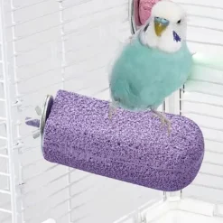 DTOPBUYAGE - Bâton meulage calcium pour perroquets