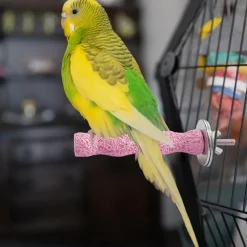 DTOPBUYAGE - Bâton meulage calcium pour perroquets