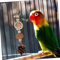 DTOPBUYAGE - Cône de pin et boule de rotin pour oiseaux pour chasser et mâcher