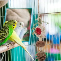 DTOPBUYAGE - Cône de pin et boule de rotin pour oiseaux pour chasser et mâcher