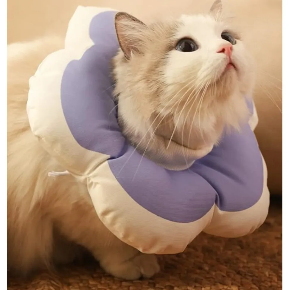 DTOPBUYAGE - Collier anti - morsure réglable doux léger chats rose xs