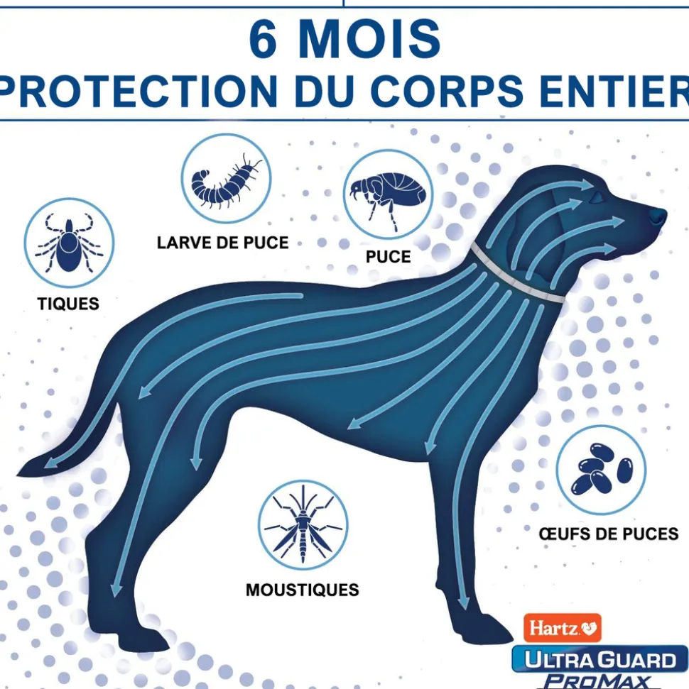 DTOPBUYAGE - Collier anti-puces et tiques pour chien