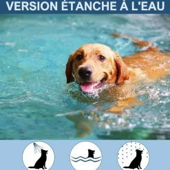 DTOPBUYAGE - Collier anti-puces et tiques pour chien