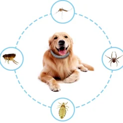 DTOPBUYAGE - Collier antiparasitaire réglable pour chien dtopbuyage 62 cm