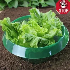 DTOPBUYAGE - Couvertures pour légumes renforcées dtopbuyage