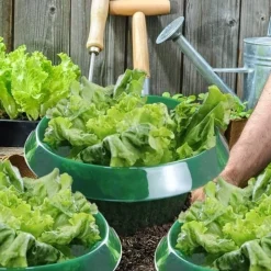 DTOPBUYAGE - Couvertures pour légumes renforcées dtopbuyage