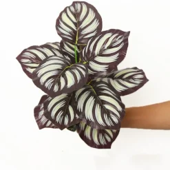 DTOPBUYAGE - Décoration pour mur de plantes artificielles - feuille d'ananas à 12 têtes - dtopbuyage