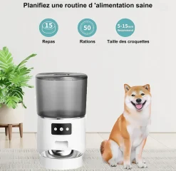 DTOPBUYAGE - Distributeur automatique de nourriture pour chats 4l