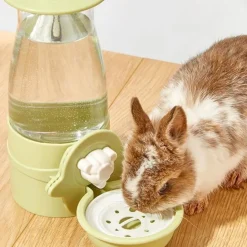 DTOPBUYAGE - Distributeur eau lapin 600ml pet