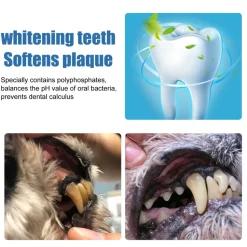 DTOPBUYAGE - Désincrustant dentaire pour animaux de compagnie, 60 ml - dtopbuyage