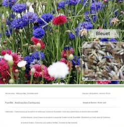 DTOPBUYAGE - Dtopbuyage - graines de bleuet 100 gélules