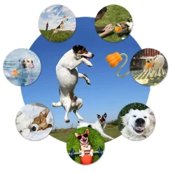 DTOPBUYAGE - Dtopbuyage ballon pour chiens résistant à la mâche