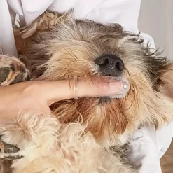 DTOPBUYAGE - Dtopbuyage brosse à dents de gant en silicone pour chats et chiens