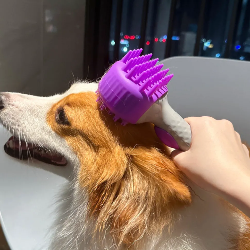 DTOPBUYAGE - Dtopbuyage brosse de bain massante (violet)