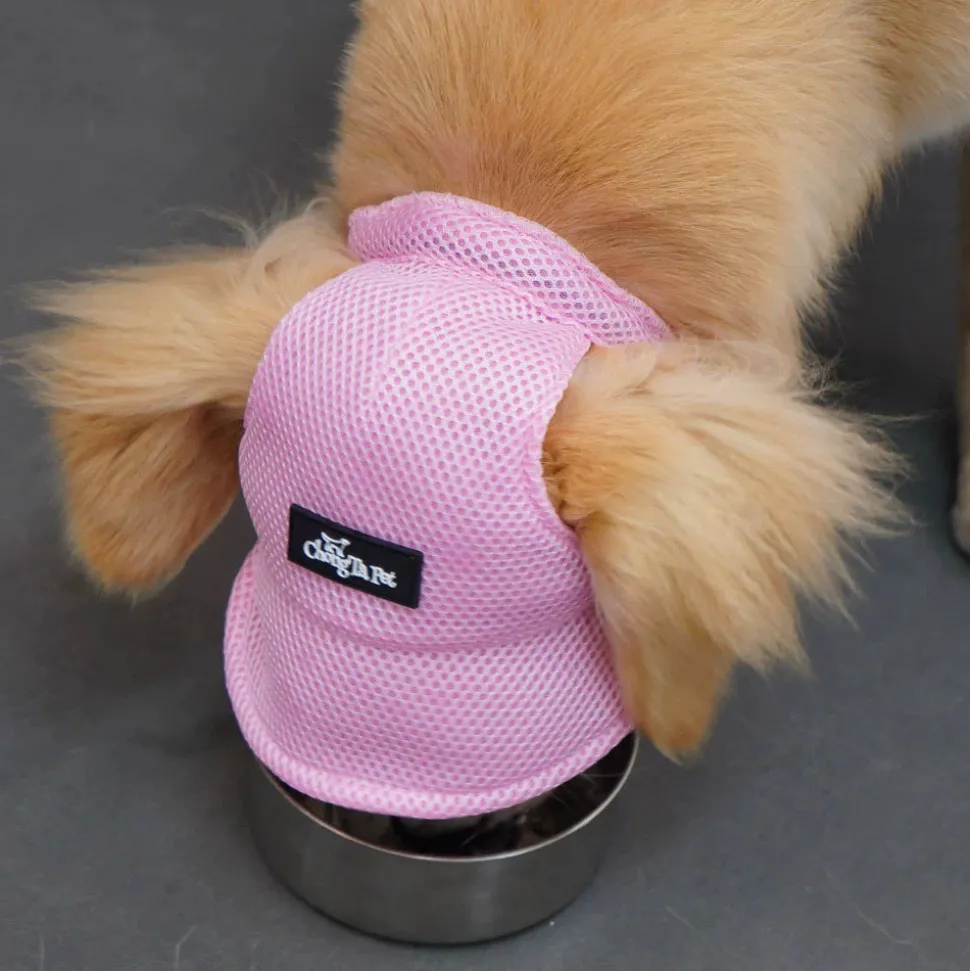 DTOPBUYAGE - Dtopbuyage chapeau de soleil pour chiens