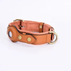 DTOPBUYAGE - Dtopbuyage collier de chien compatible avec airtag