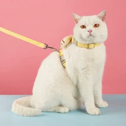 DTOPBUYAGE - Dtopbuyage corde pour promener le chat