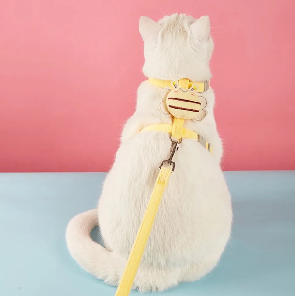 DTOPBUYAGE - Dtopbuyage corde pour promener le chat