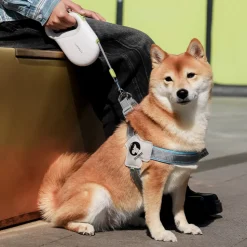 DTOPBUYAGE - Dtopbuyage corde de traction rétractable