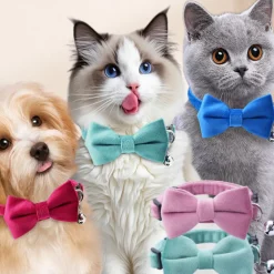 DTOPBUYAGE - Dtopbuyage collier nœud papillon pour chat