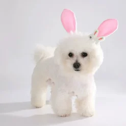 DTOPBUYAGE - Dtopbuyage ensemble d'easter pour chiens et lapins