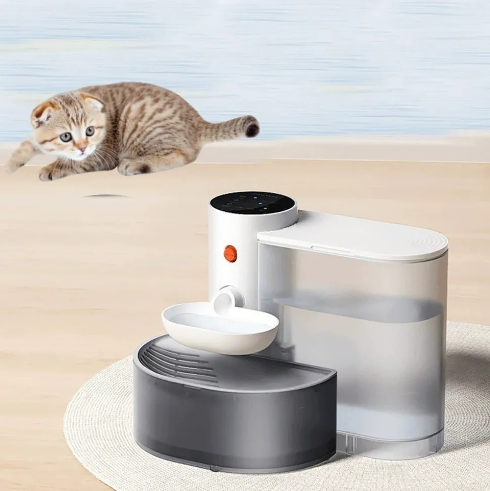 DTOPBUYAGE - Dtopbuyage fontaine à eau intelligente pour chats et petits chiens