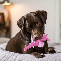 DTOPBUYAGE - Dtopbuyage jouet pour chien - en peluche, interactif