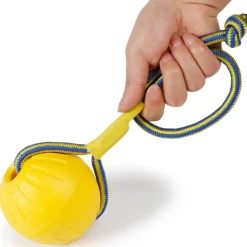 DTOPBUYAGE - Dtopbuyage jouet en eva pour chiens