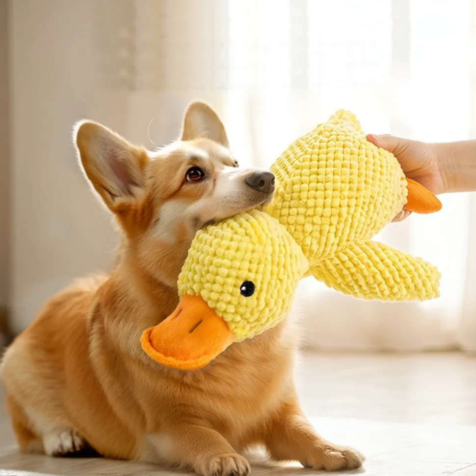DTOPBUYAGE - Dtopbuyage jouet en peluche de canard pour chiens