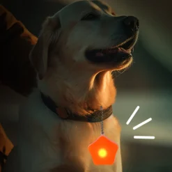 DTOPBUYAGE - Dtopbuyage pendentif lumineux pour chien et chat