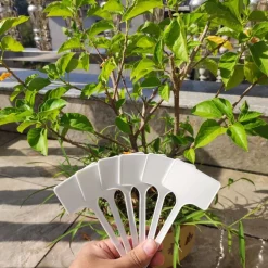DTOPBUYAGE - Etiquettes pour plantes en plastique 20 pièces dtopbuyage
