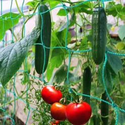 DTOPBUYAGE - Filet de jardin pour plantes grimpantes 2*3 m dtopbuyage