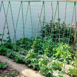 DTOPBUYAGE - Filet de jardin pour plantes grimpantes 0,9*1,8 m dtopbuyage