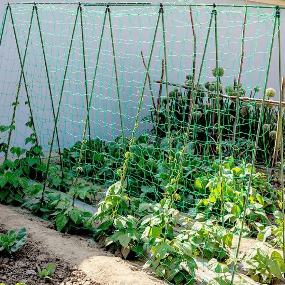 DTOPBUYAGE - Filet de jardin pour plantes grimpantes 0,9*1,8 m dtopbuyage