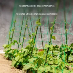 DTOPBUYAGE - Filet de jardin pour plantes grimpantes 0,9*1,8 m dtopbuyage