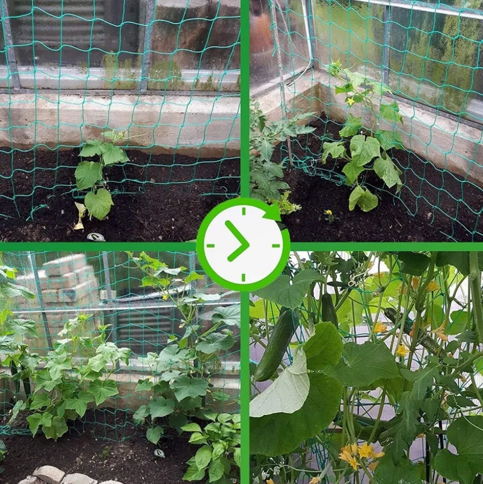 DTOPBUYAGE - Filet de jardin pour plantes grimpantes 0,9*1,8 m dtopbuyage