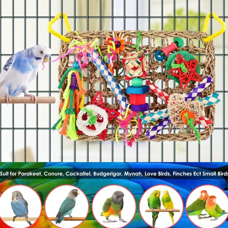 DTOPBUYAGE - Jeux pour oiseaux - matériel de forage, chewing, escalade