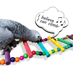 DTOPBUYAGE - Jouet d'échelle coloré en bois pour perroquets