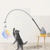 DTOPBUYAGE - Jouet de pêche pour chaton dtopbuyage avec tête de poisson amovible